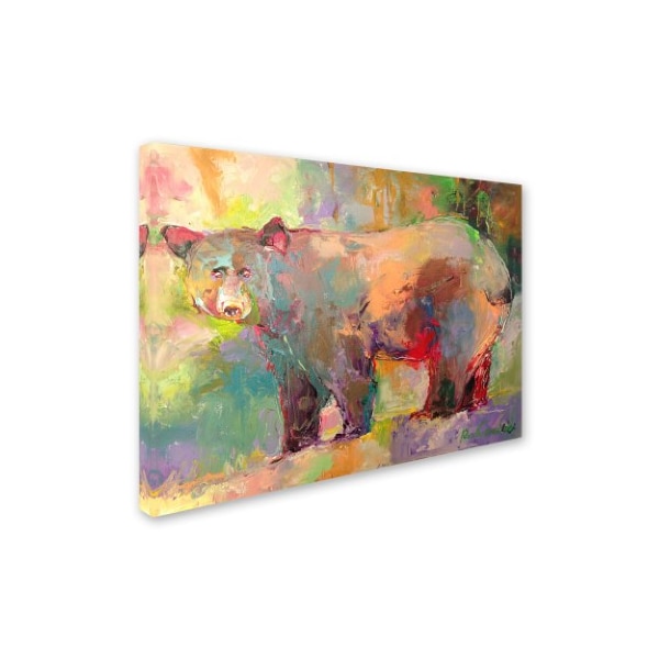 Richard Wallich 'Art Bear' Canvas Art,35x47